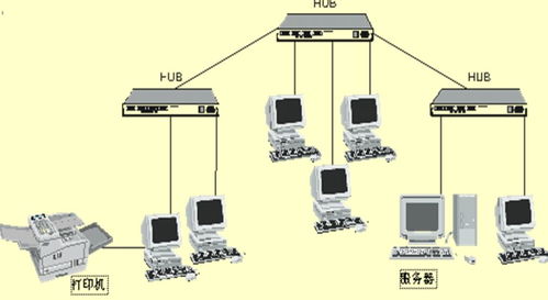 计算机网络的功能及分类